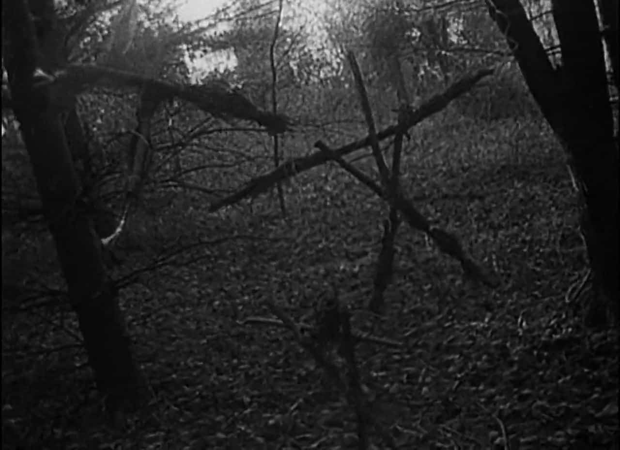 Jump Scares In The Blair Witch Project 1999 Wheres The Jump 6108