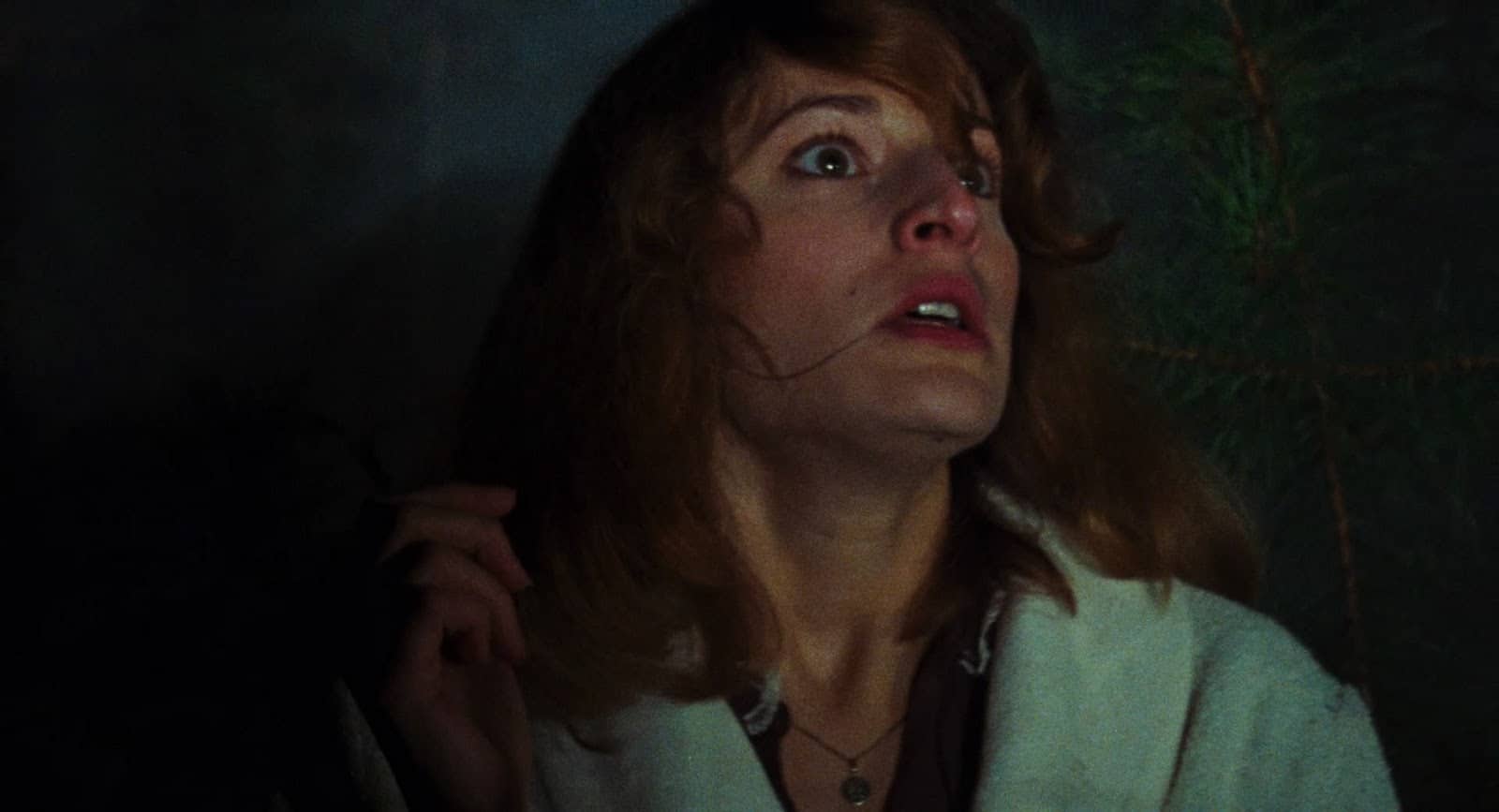 The Evil Dead (1981) screenshot