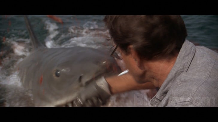 Jaws (1975) screenshot