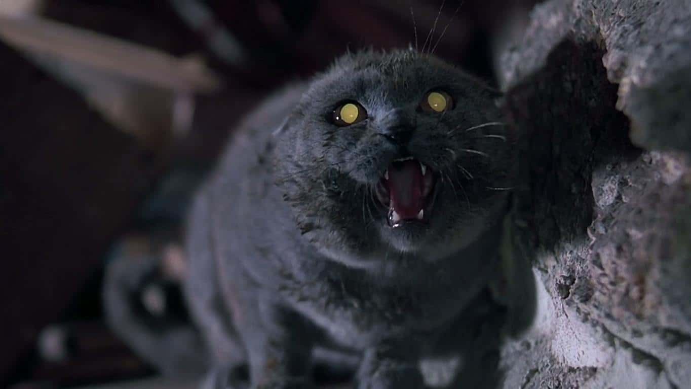 Pet Sematary (1989) screenshot