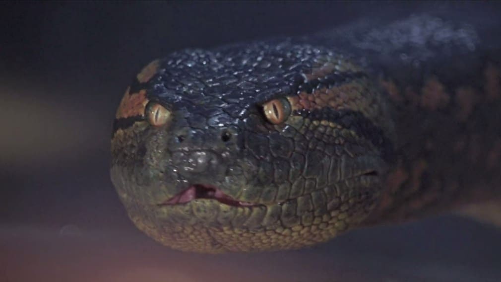 Anaconda (1997) screenshot