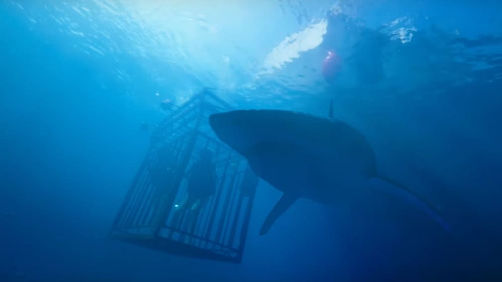 47 Meters Down (2017) screenshot