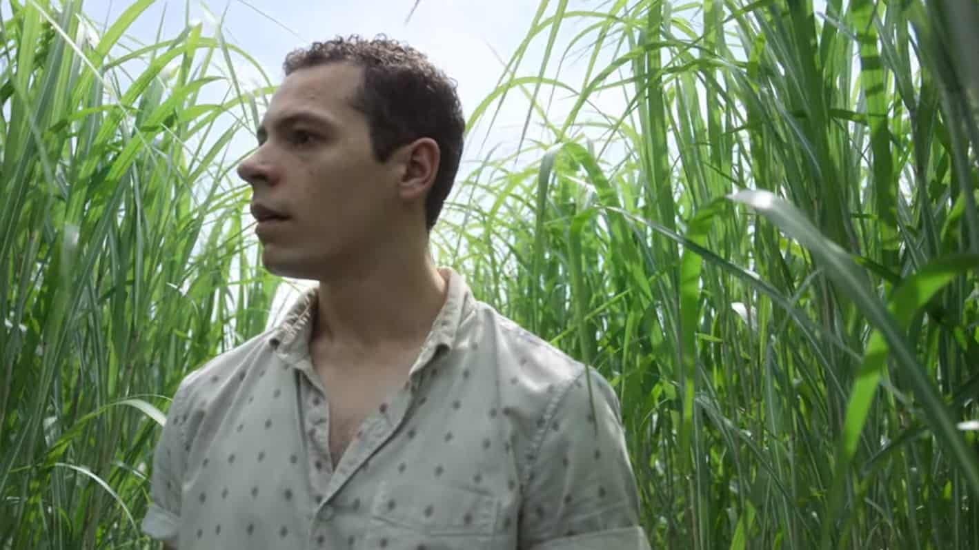 In the Tall Grass (2019) screenshot