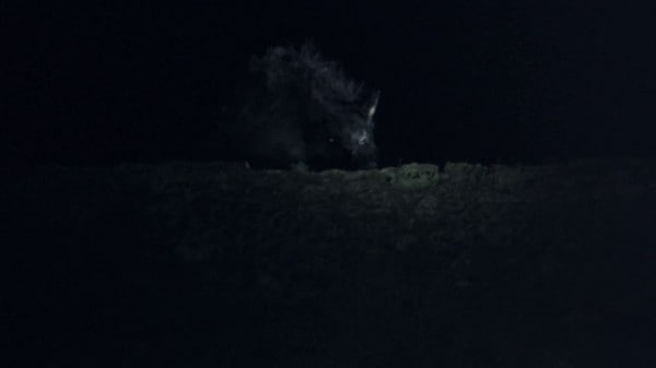 Skinwalker Ranch (2013) screenshot