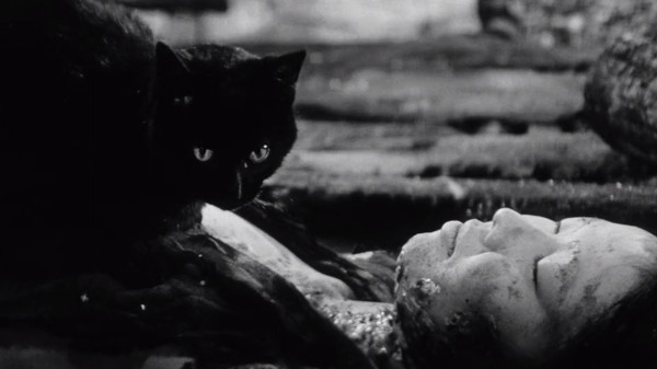 Kuroneko (1968) screenshot