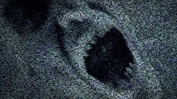 White Noise (2005) screenshot