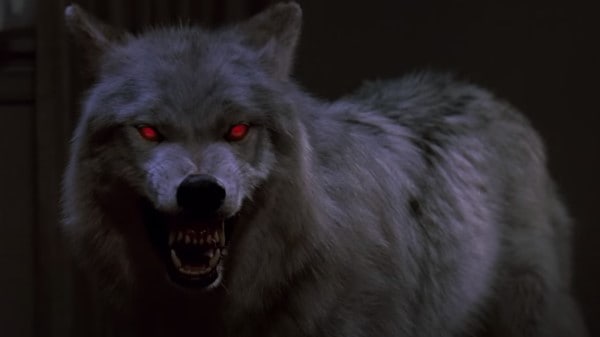 Fright Night (1985) screenshot