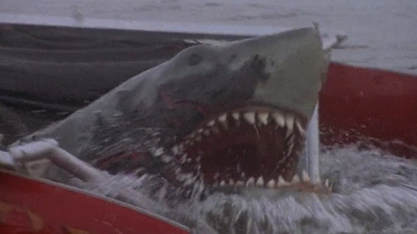 Jaws 2 (1978) screenshot