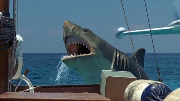 Jaws: The Revenge (1987) screenshot