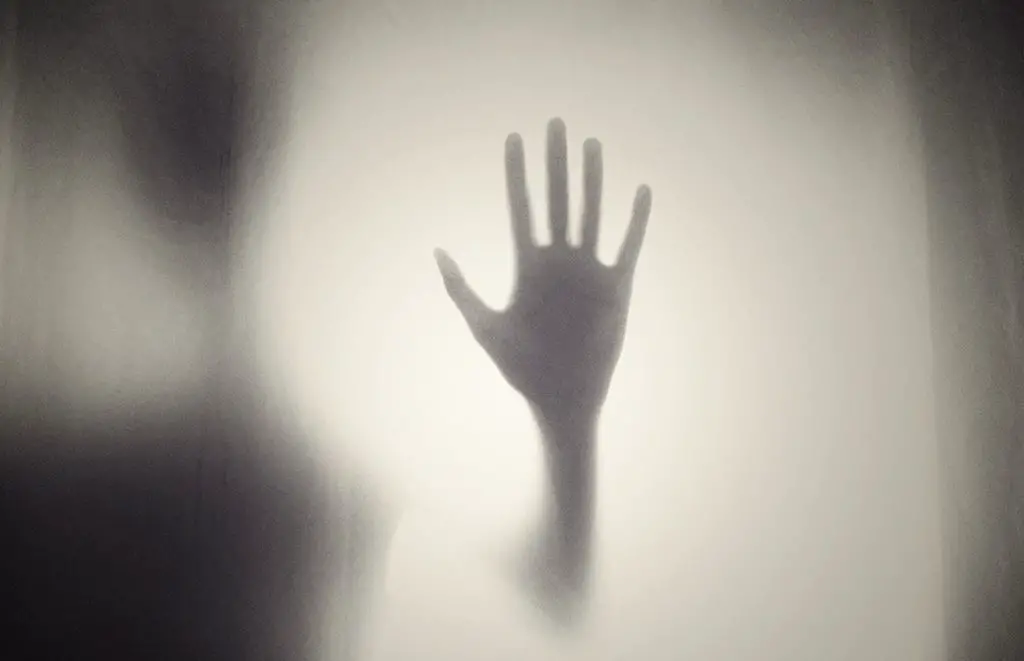 A Silhouette of a hand