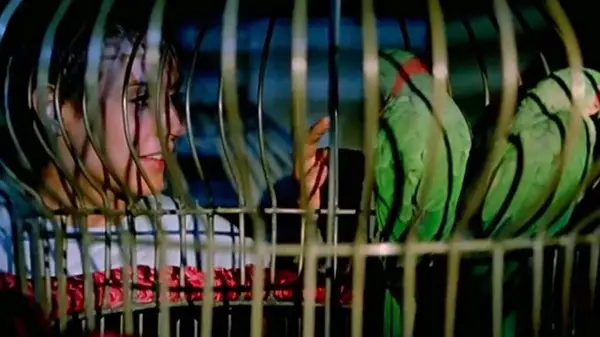 High Tension (2003) screenshot