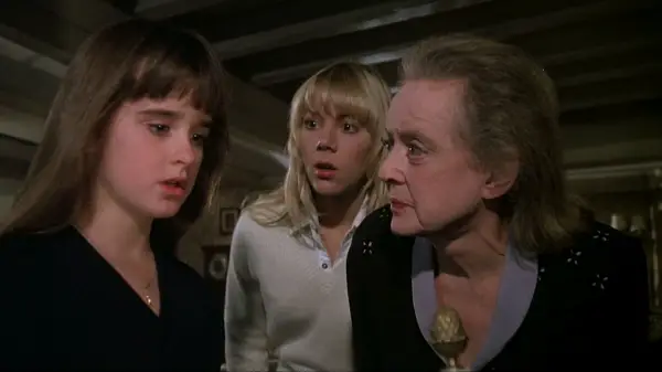 The Watcher in the Woods (1980) screenshot