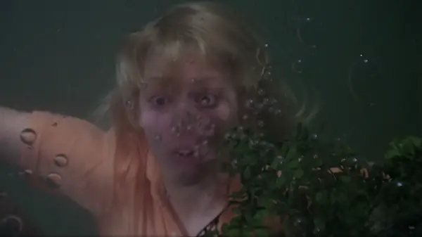 The Watcher in the Woods (1980) screenshot